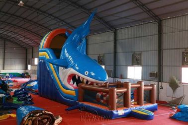 الصين مقاومة للماء ، قابل للنفخ ، سمك جاف ، سمك القرش ، تحت عنوان 12x4x6.5m مصنع